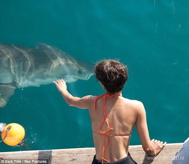 Халле Берри познакомилась с акулами