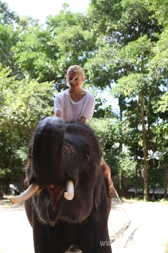 Певица Даша Русакова подружилась с тайскими слонами