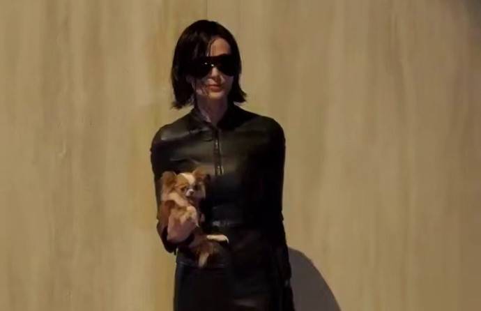 Звезды шоу бизнеса