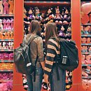 Звезды шоу бизнеса