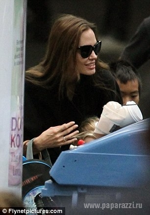 Анджелина Джоли и Брэд Питт выкупили для поездки целый поезд