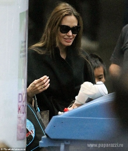 Анджелина Джоли и Брэд Питт выкупили для поездки целый поезд