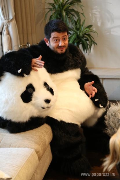 Михаил Галустян снимается в костюме панды