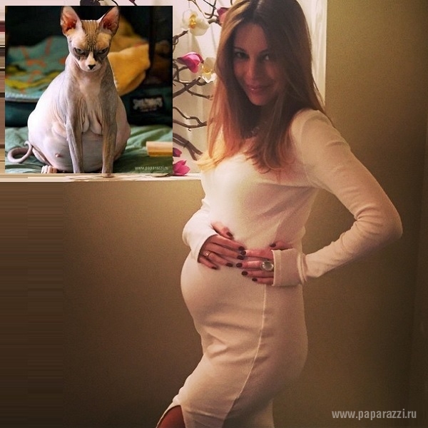 Кэти Топурия и Наталья Подольская померились животиками и другие забавные фотографии их беременных животиков
