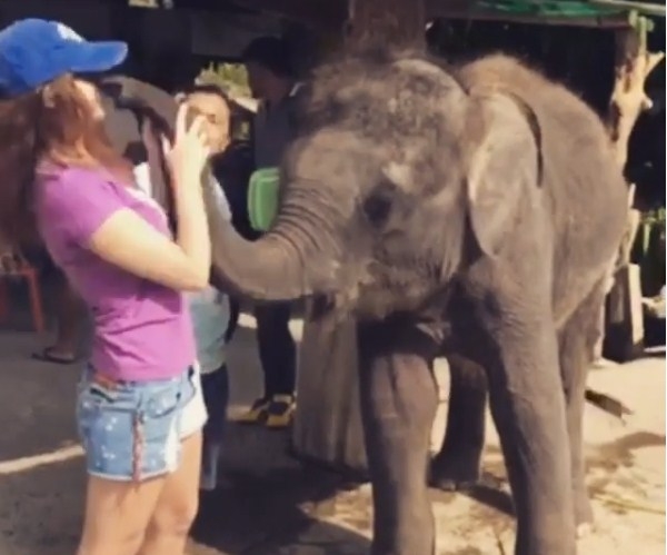 Дочь певицы Славы получила поцелуй от слона