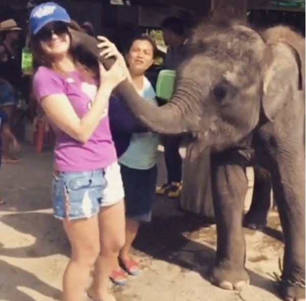 Дочь певицы Славы получила поцелуй от слона