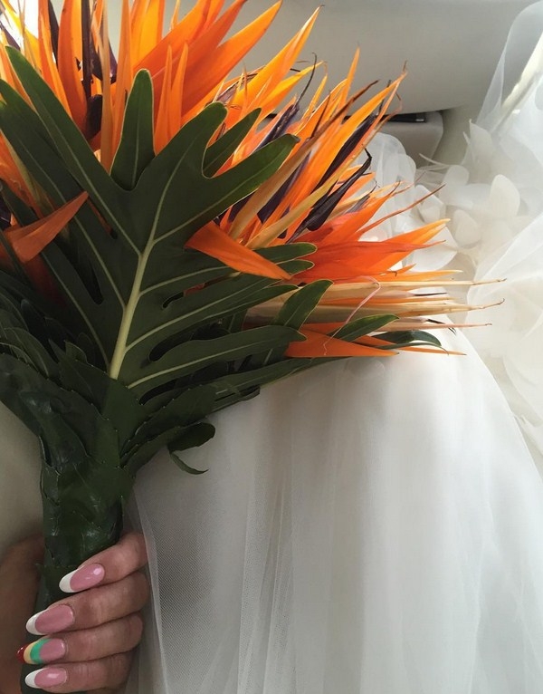 В сети появились первые фото и видео со свадьбы Корнелии Манго