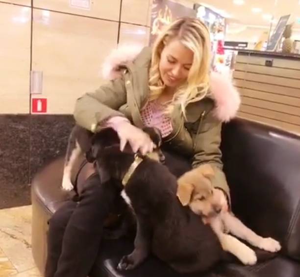 Виктория Боня помогла бездомным собакам в Дубаи