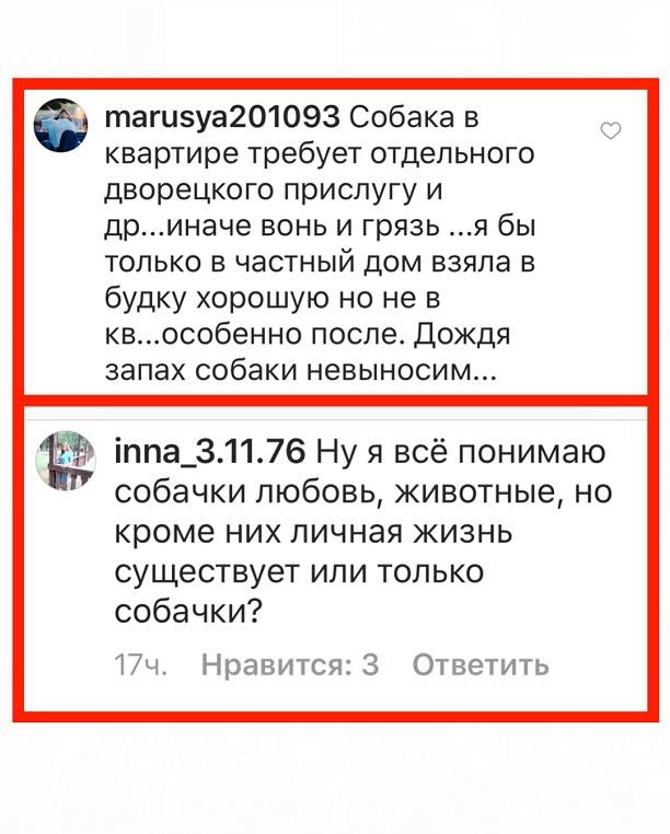 Ольга Орлова справедливо послала комментаторов на три буквы