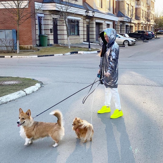 Ирина Дубцова отправилась на прогулку с собаками в костюме химзащиты