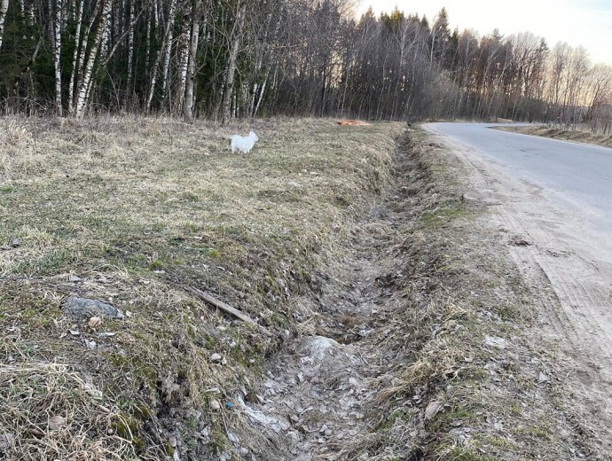 Агата Муцениеце убрала мусор вдоль дороги