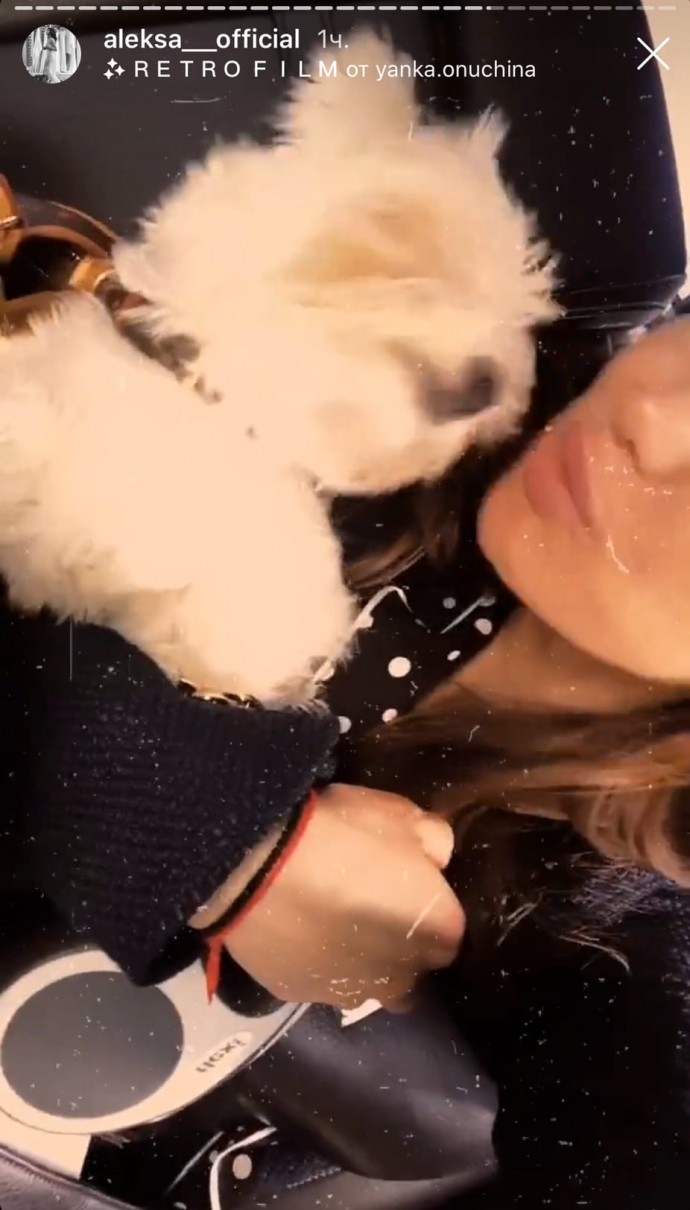 Алекса отвезла собаку на стрижку во время самоизоляции
