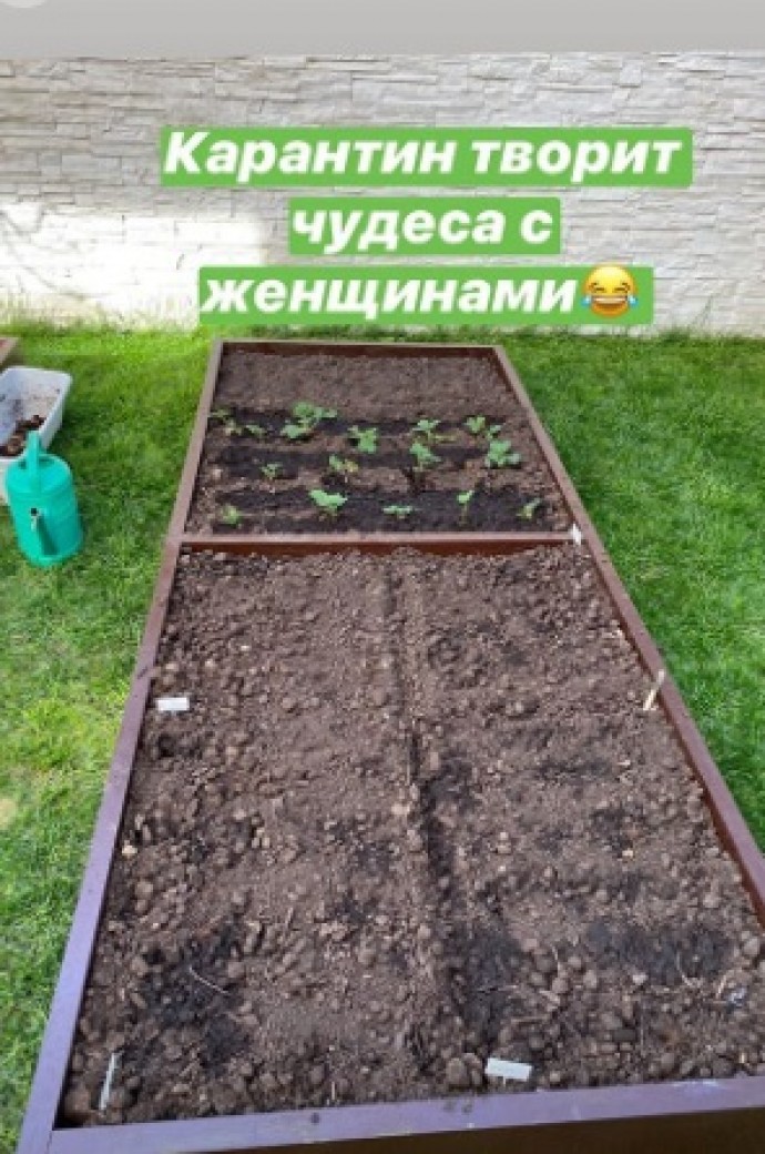 Юлия Ковальчук похвасталась своим огородом