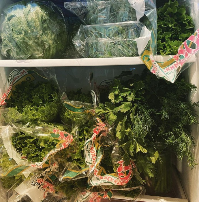 Анастасия Волочкова удивила подписчиков содержимым своего холодильника