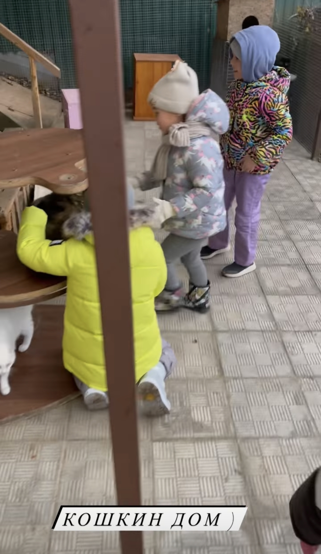Дочки Оксаны Самойловой и Джигана съездили в приют, потратив "карманные деньги" на корм для собак