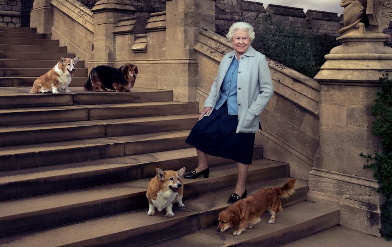 Королева Елизавета II выпустила парфюм для собак 