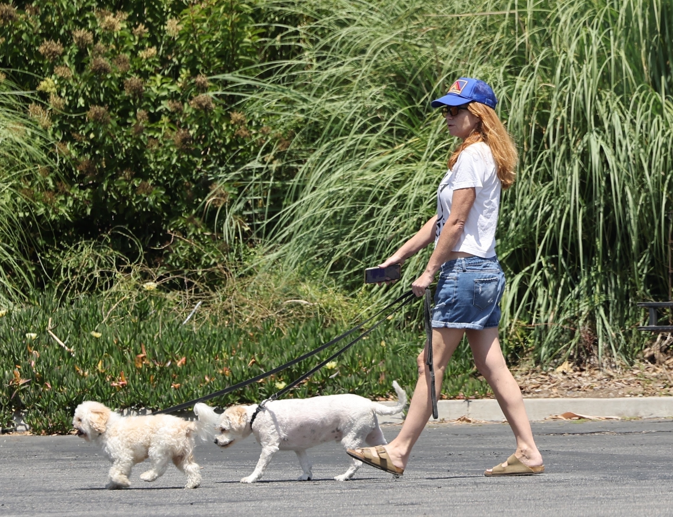 Пэтси Палмер выгуливала по улице своих собак в футболке с интересной надписью