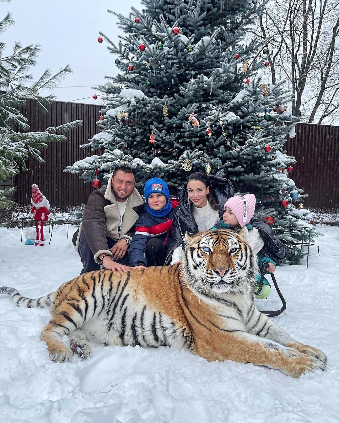 Павел Прилучный устроил фотосессию с тигром и располневшей беременной Зепюр Брутян