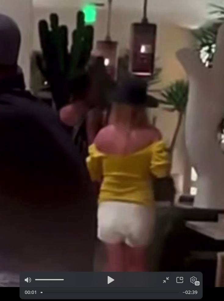 Бритни Спирс ушла в загул, но уверяет, что это была не она